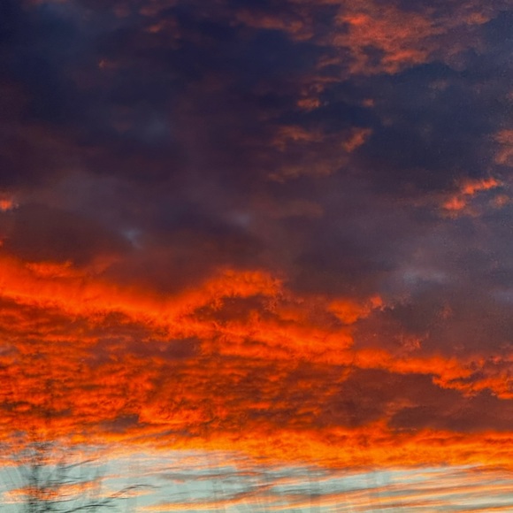 Meet your Posher, Gloria - Picture 4 of 5